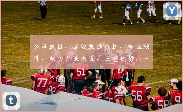 公海数据，高效数据分析，专业软件，助力企业决策，三重优势，一应俱全