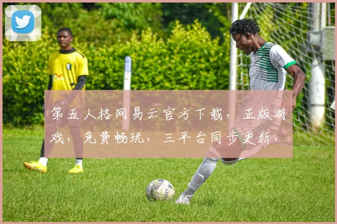 第五人格网易云官方下载，正版游戏，免费畅玩，三平台同步更新，必看攻略，轻松上手