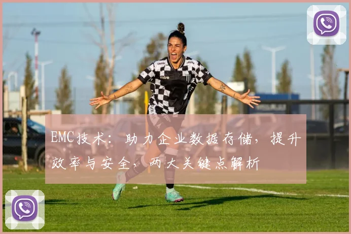 EMC技术：助力企业数据存储，提升效率与安全，两大关键点解析