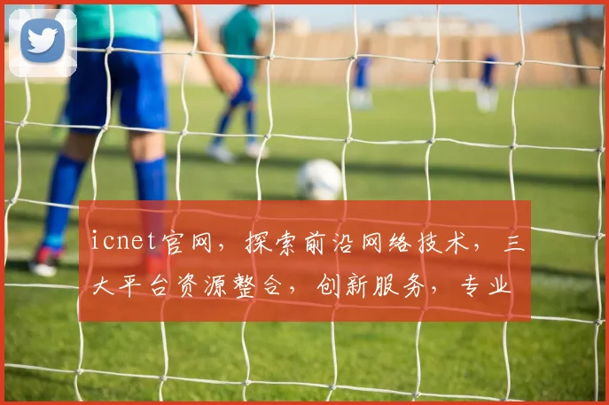 icnet官网，探索前沿网络技术，三大平台资源整合，创新服务，专业权威，一站式体验。